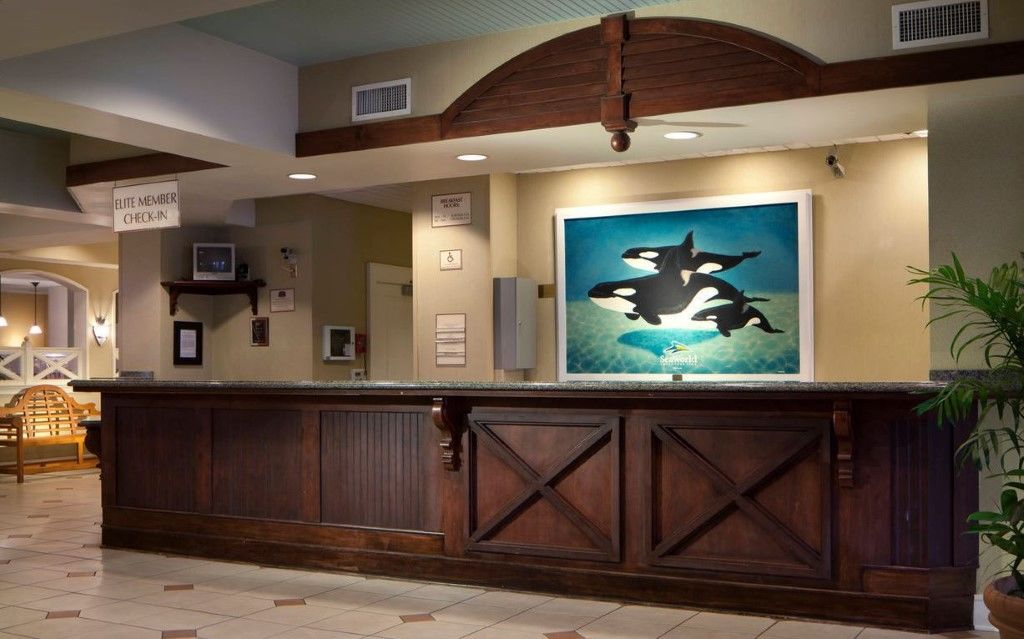 Residence Inn By Marriott Orlando At Seaworld Williamsburg Экстерьер фото